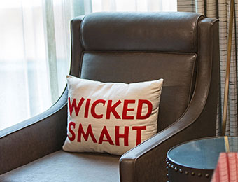 The More Style The Better: Kimpton Wicked Smaht Pillow