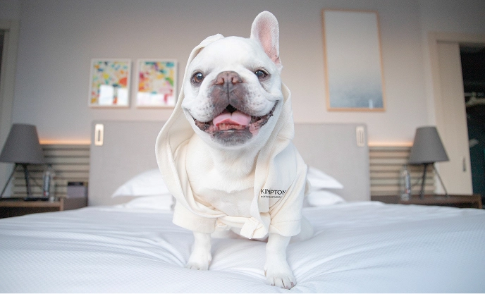 Kimpton Pets