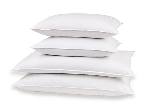 Feather & Down Pillow  Shop The W Hotels Pillow Collection