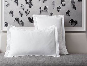 Grey Embroidered Pillow Shams image